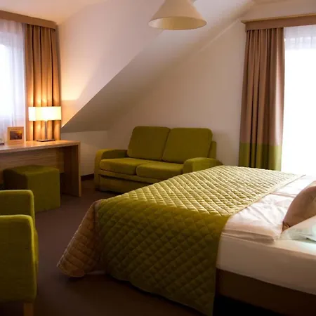 Hotel Altes Kurhaus 3*