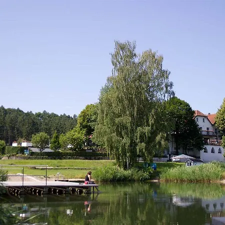 Hotel Altes Kurhaus 3*
