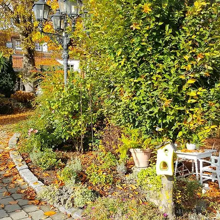 Hotel Altes Kurhaus 3*